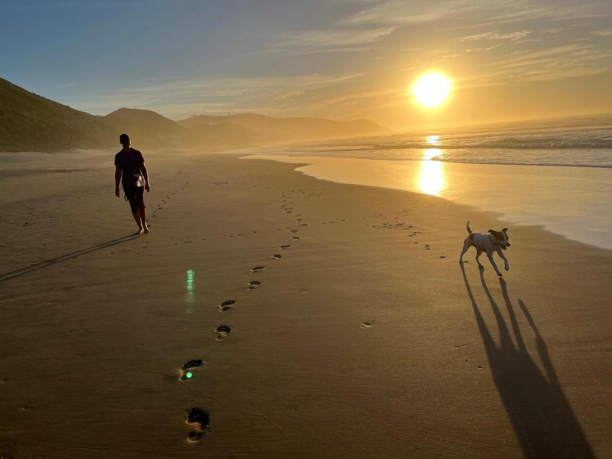 Paradise Found Knysna Dış mekan fotoğraf